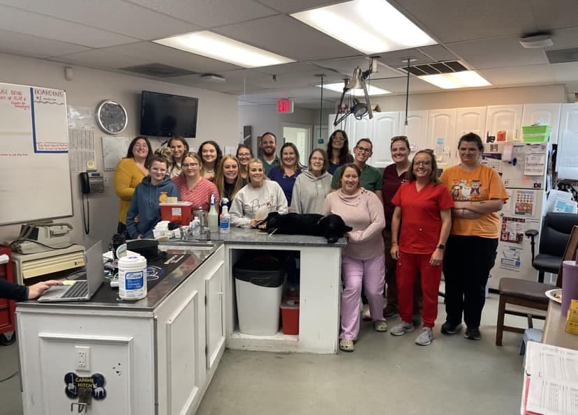 Services Southeastern Veterinary Services (SVS)