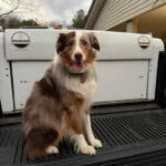 497514469_122245433804019601_1876588052067102702_n (1)