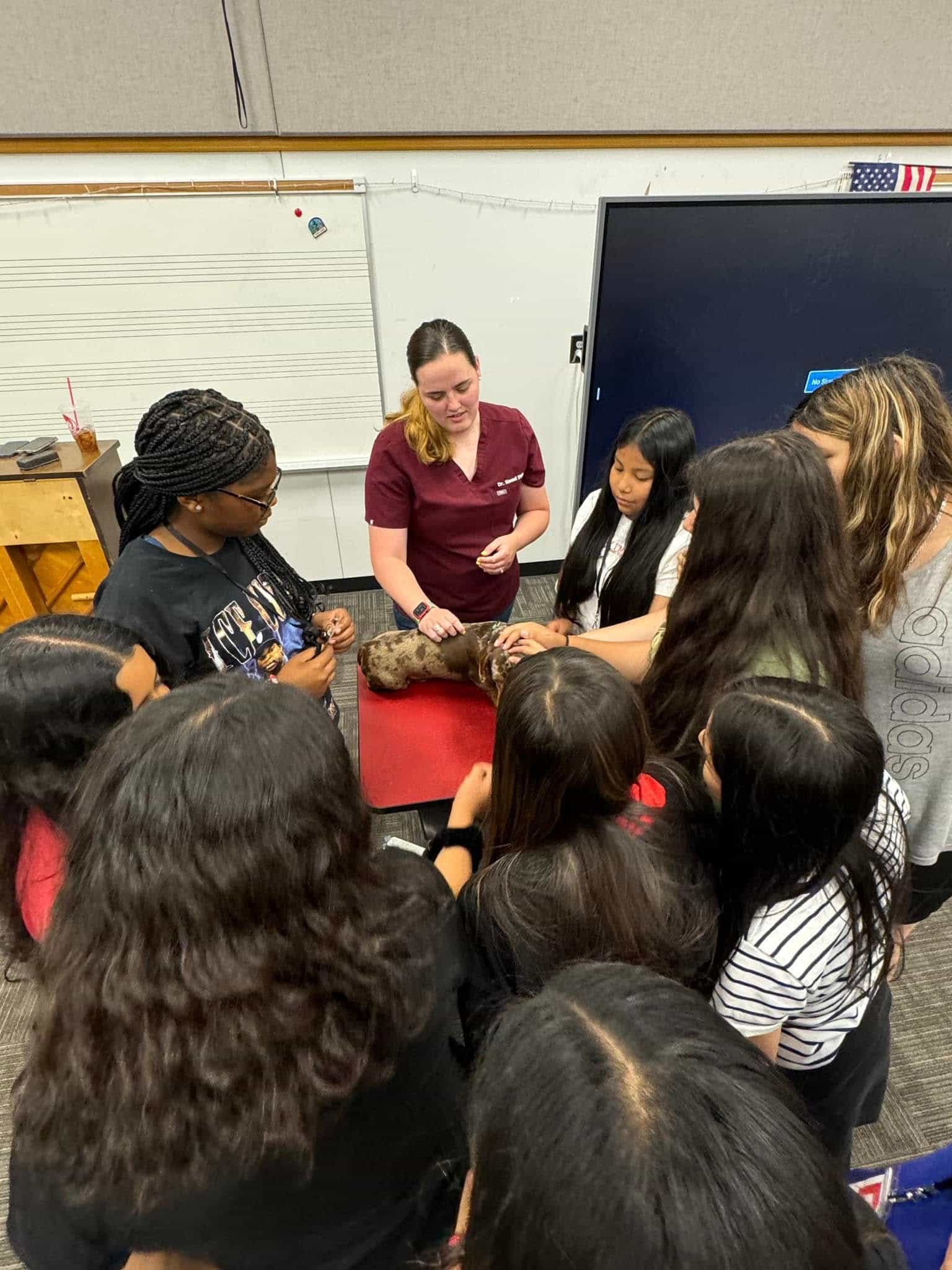 Client Education and Support