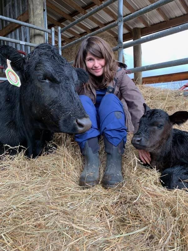 Large Animal and Farm Services