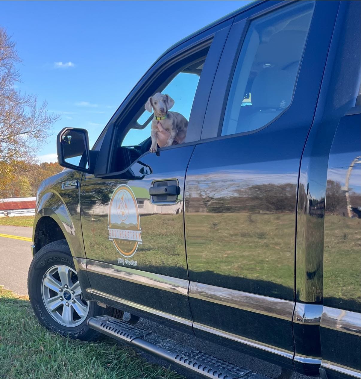 Mixed Animal Practice