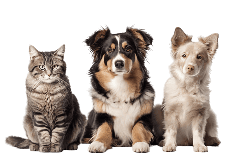 Southeastern Veterinary Services