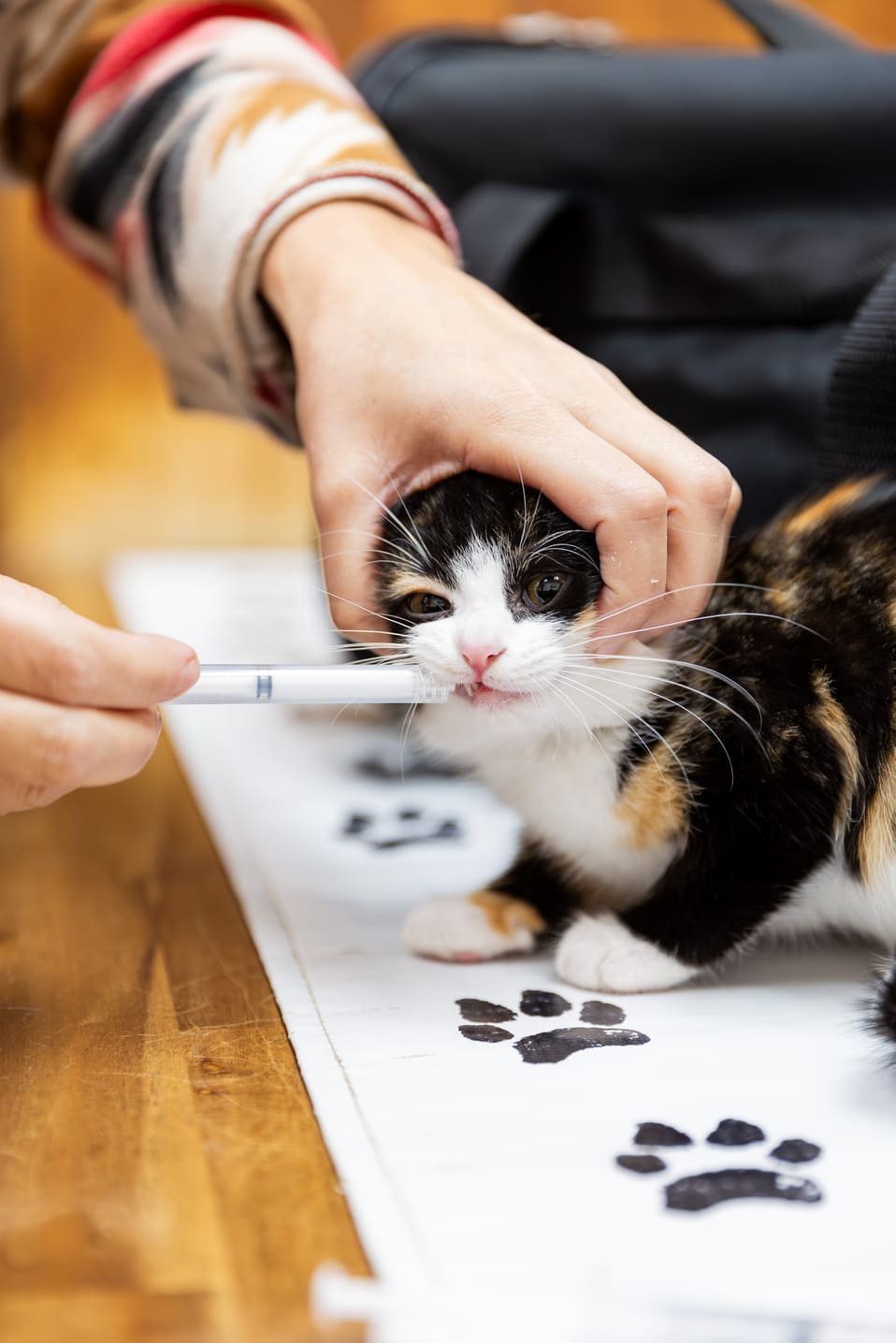 Preventive and Wellness Care