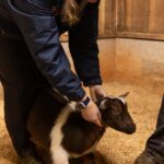 AAP_SVS Farm Call_12-08-25-06