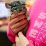 AAP_SVS Farm Call_12-08-25-38